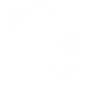 exsion logo beeldmerk